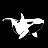 Señales de ballenas- señales de ballena