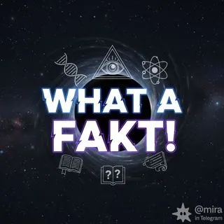 What a Fakt! - интересные факты