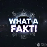 What a Fakt! - интересные факты
