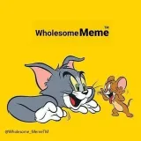 Memes sanos - memes de tipo