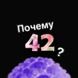 Why 42?