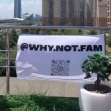 WHY NOT - Questions and Answers