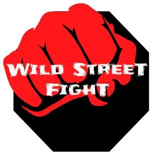 Wild Street Fight - бои