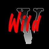 WILD VIDS - Camera videos and street scenes