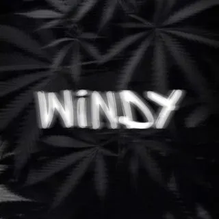 WINDY - приколы и мемы