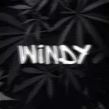 WINDY - приколы и мемы