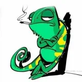 Xamemleon - top hamem