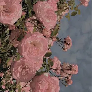 xdxtxd - гейминг контент