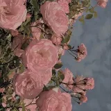 xdxtxd - гейминг контент