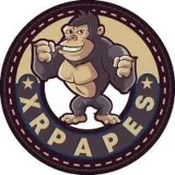 XRP APES coin - Official Chat