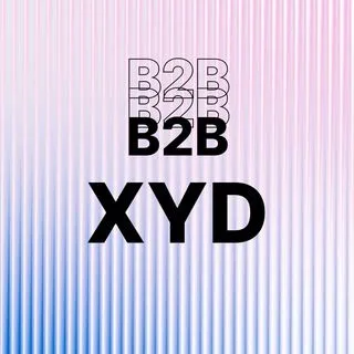 B2B XYDGITAL - маркетинг в IT