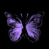 Yooniverse- Yoon fan.💜