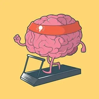 Learners Hub - интересные факты