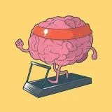 Learners Hub - интересные факты