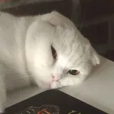 PENNI (S) - советы