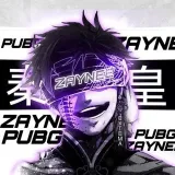 ZAYNEE - PUBGMobileandCS2.