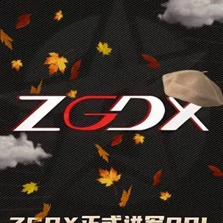 ZGDX GAMING - фан-аккаунт Яо Чи