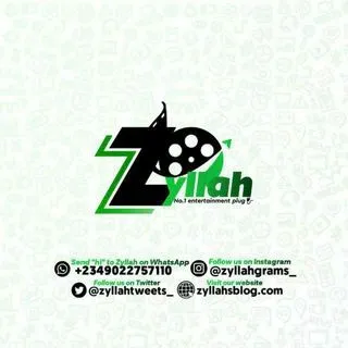 Zyllahgrams - фильмы и сериалы