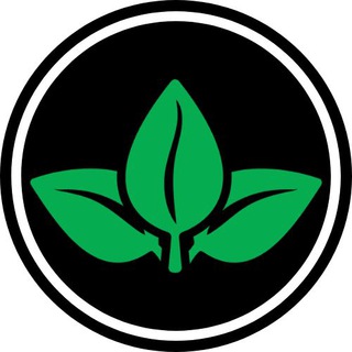 Plant Identifier - бот растений