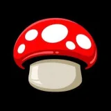 play.fun - earning games