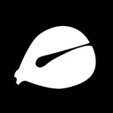 Wooden Fish - Harmony of the Mind