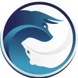 Economía del fondo - tipos de cambio