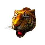 HitCars - una conexión musical